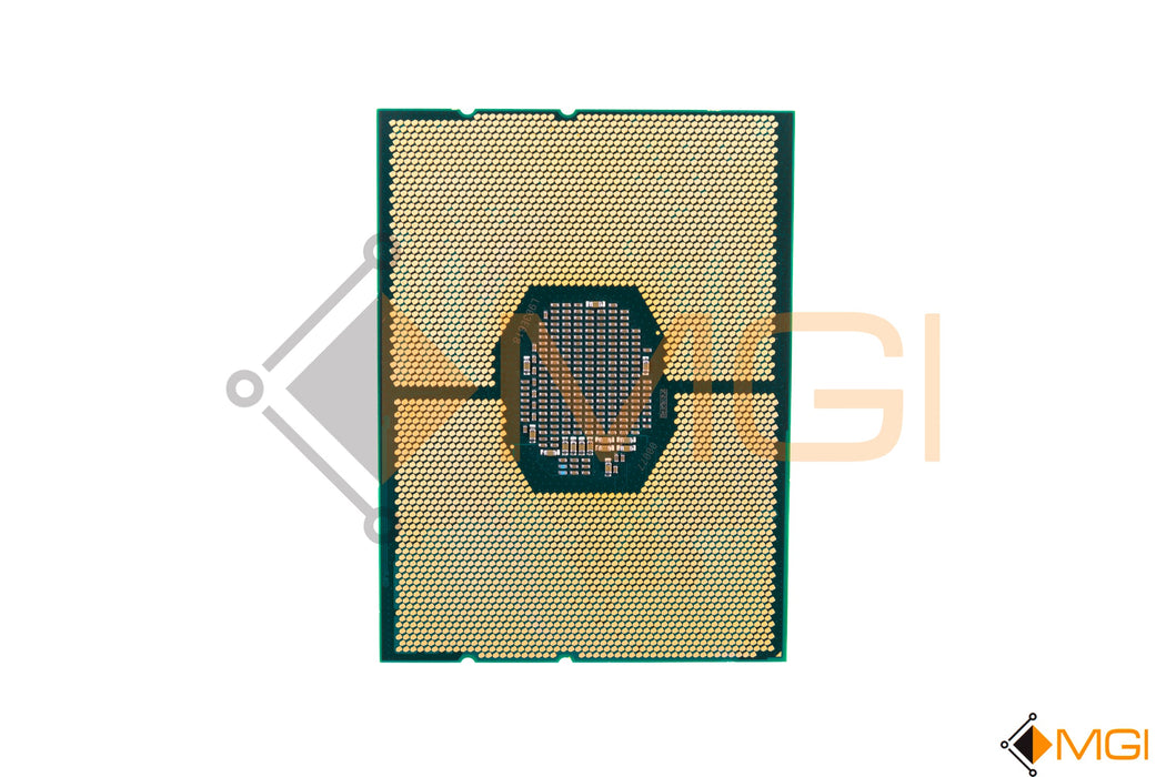 GOLD 6240 // SRF8X