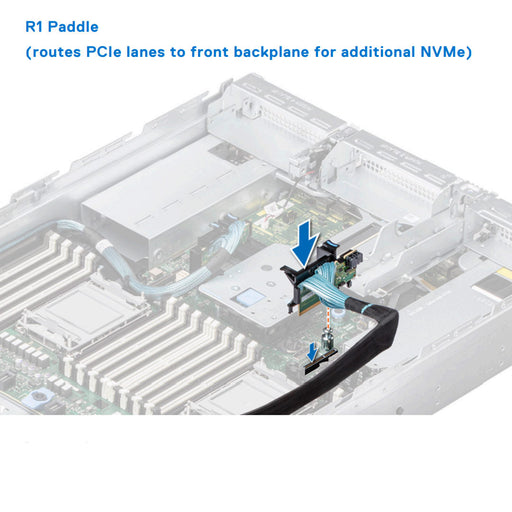 Riser 1 Paddle | Dell PowerEdge R750