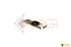 SAS9207-8E (LOW PRO)