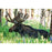 Sigma 150-600mm F5-6.3 DG DN OS Sports Lens (Sony E Mount)