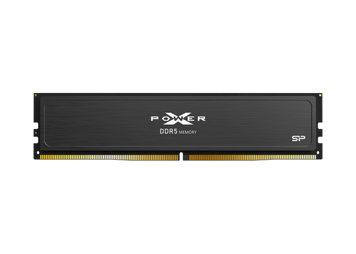 Silicon SP064GXLWU60BFDJ XPower Pulse DDR5 64GB 6000MHz UDIMM RAM Module