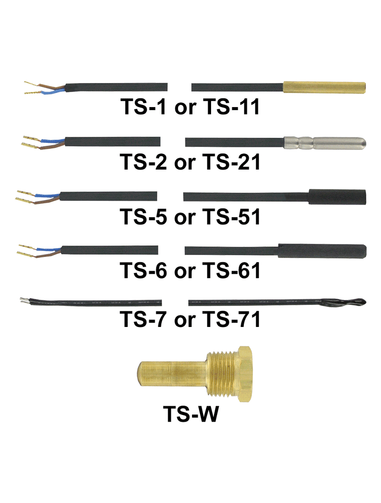 TS-21 | PTC Sensor | SS Sheath | PVC Cable | 10 ft (3 m) length. | Dwyer