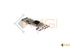 Z-OEM-CRV-T-R0 (HIGH PRO)