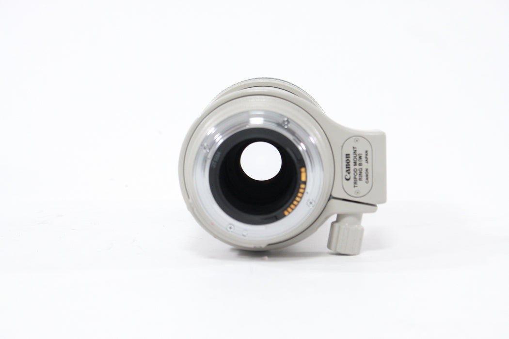 Canon 100-400mm f/4.5-5.6L IS EF