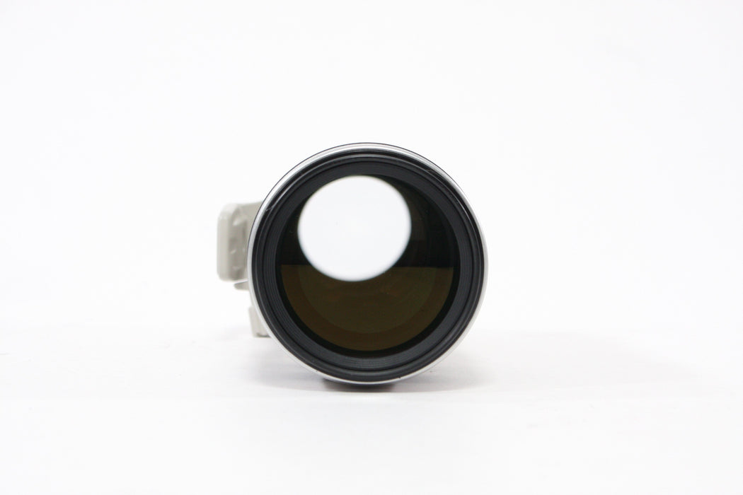 Canon 100-400mm f/4.5-5.6L IS EF