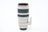 Canon 100-400mm f/4.5-5.6L IS EF
