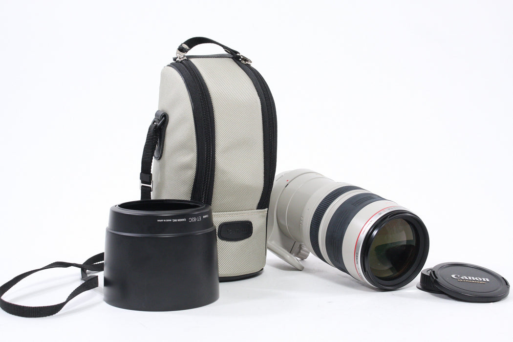 Canon 100-400mm f/4.5-5.6L IS EF