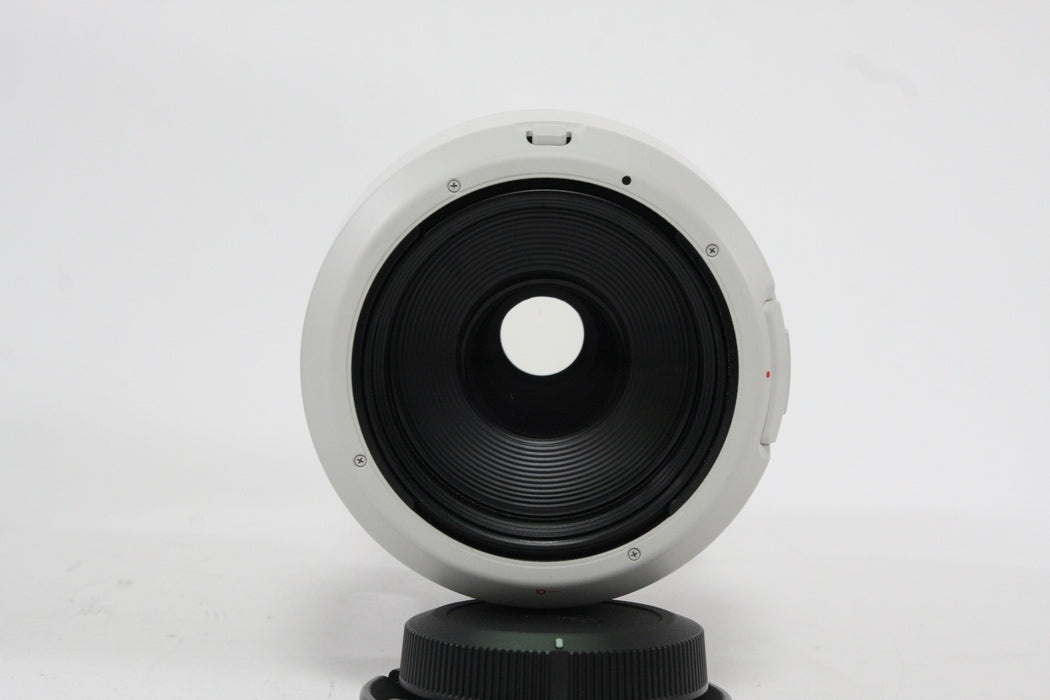 Canon 100-500mm f/4.5-7.1L RF Lens