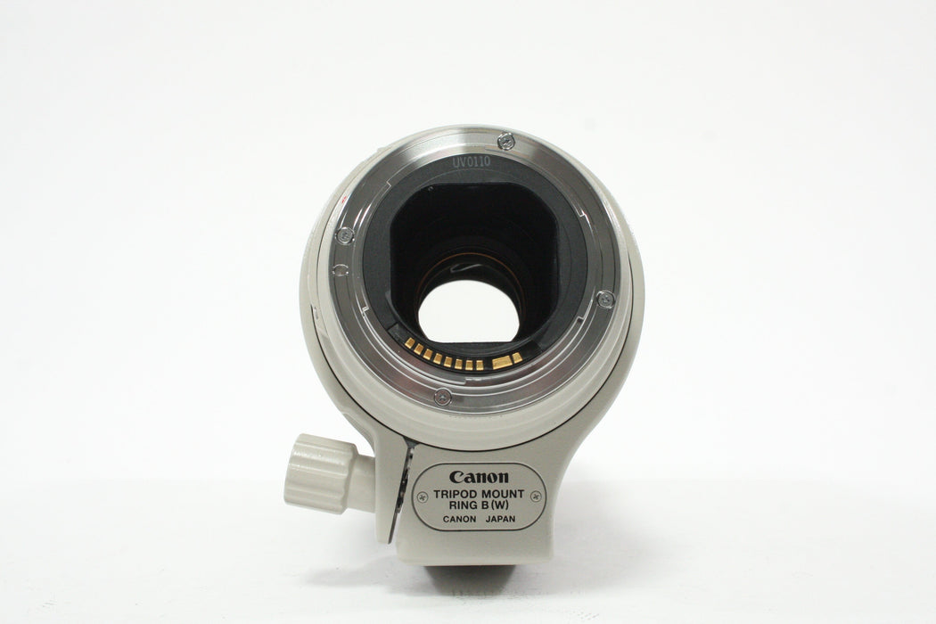 Canon 300mm f/4 IS EF USM Lens for Canon EF Mount