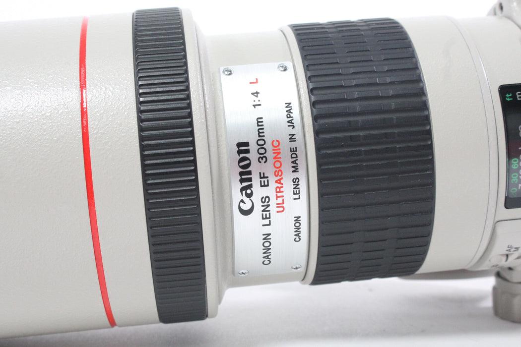 Canon 300mm f/4 L Ultrasonic Lens for Canon EF Mount