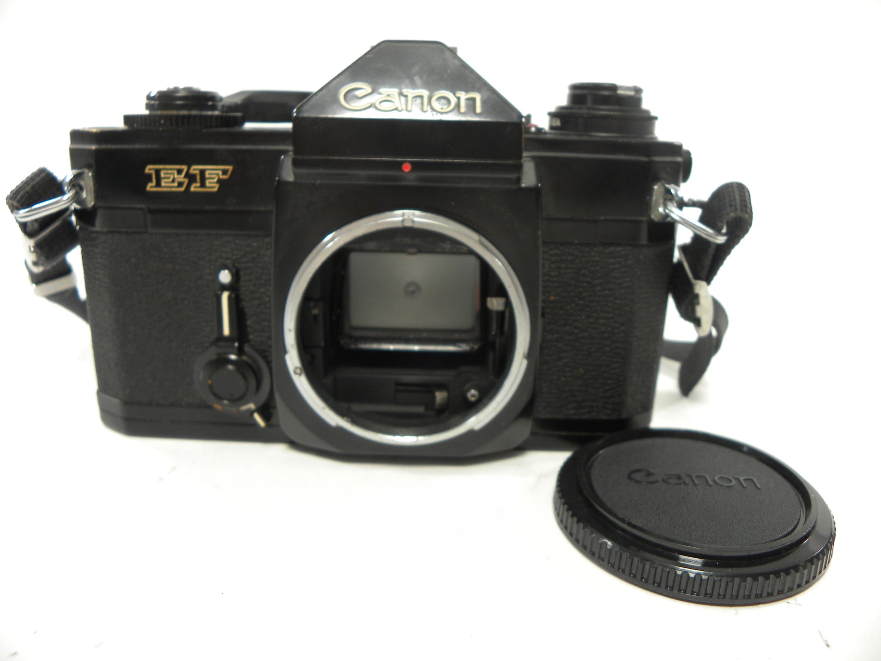 Canon EF 35mm SLR Camera Body