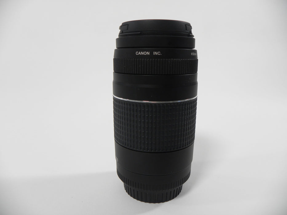Canon EF 75-300mm f4-5.6 III