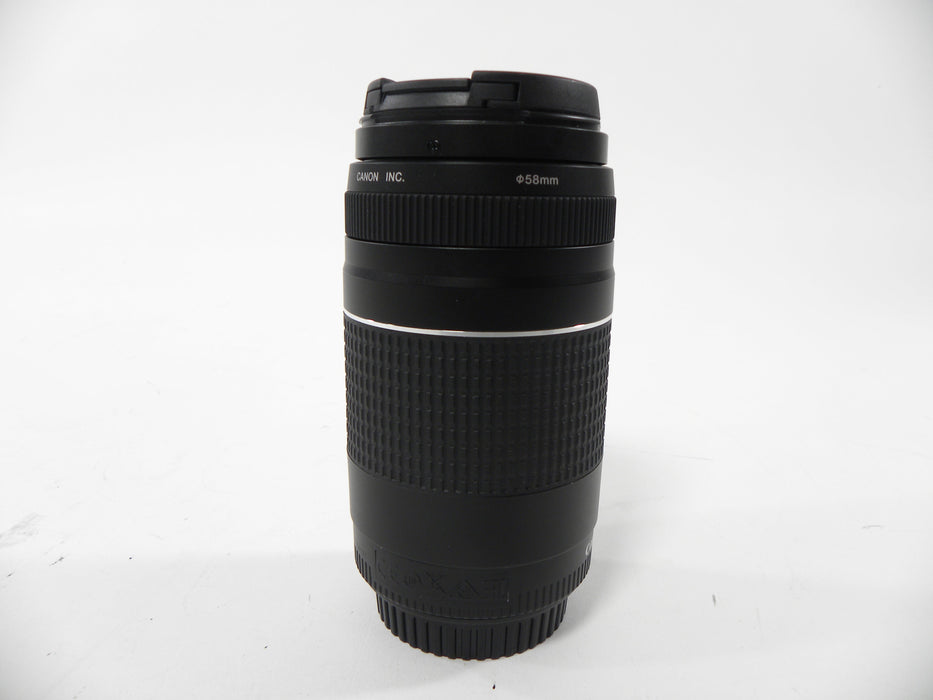 Canon EF 75-300mm f4-5.6 III
