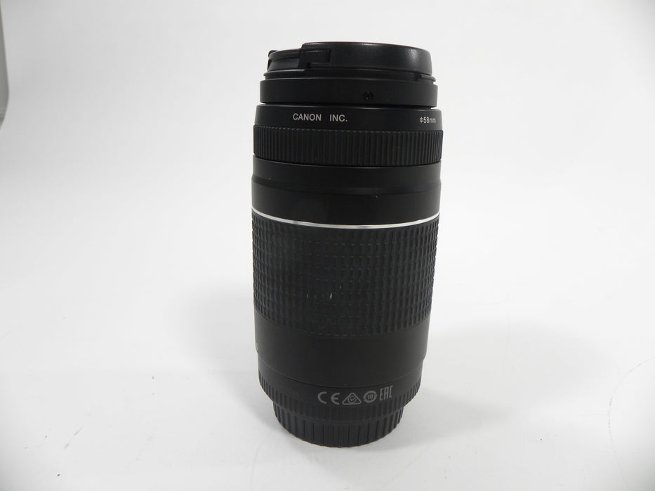 Canon EF 75-300mm f4-5.6 III