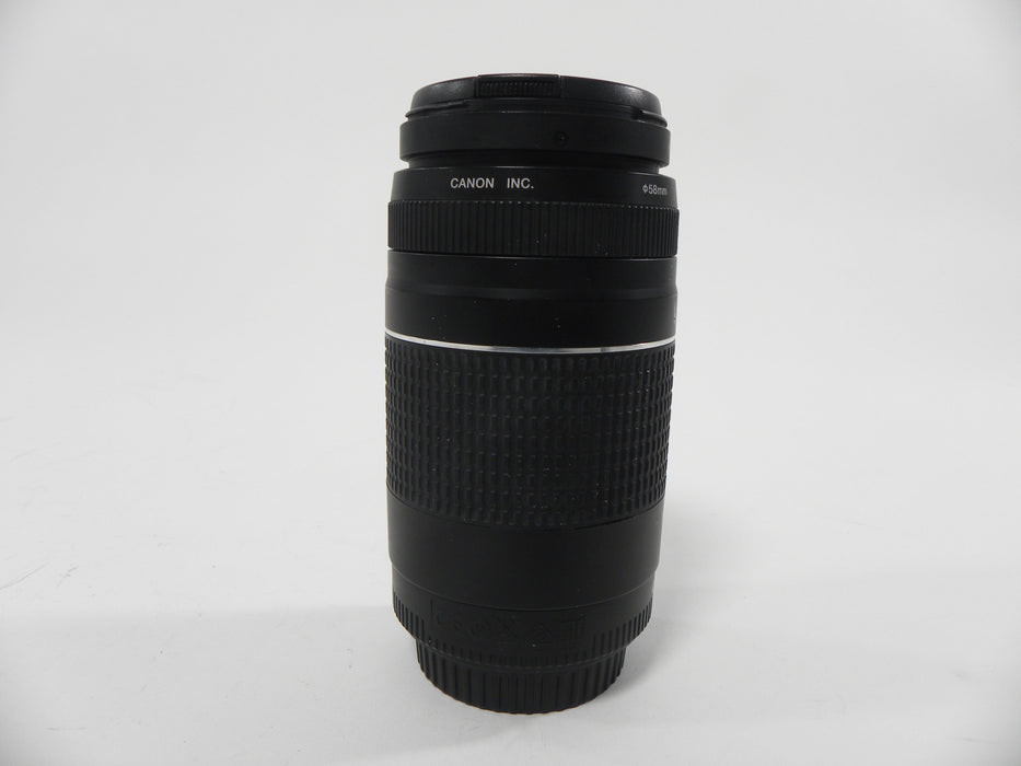 Canon EF 75-300mm f4-5.6 III