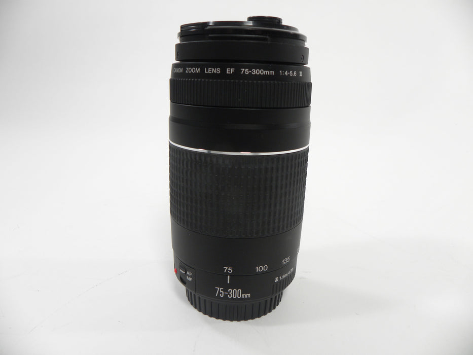 Canon EF 75-300mm f4-5.6 III