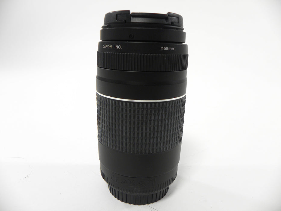 Canon EF 75-300mm f4-5.6 III