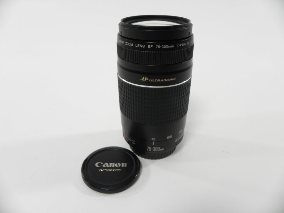 Canon EF 75-300mm f4-5.6 III USM