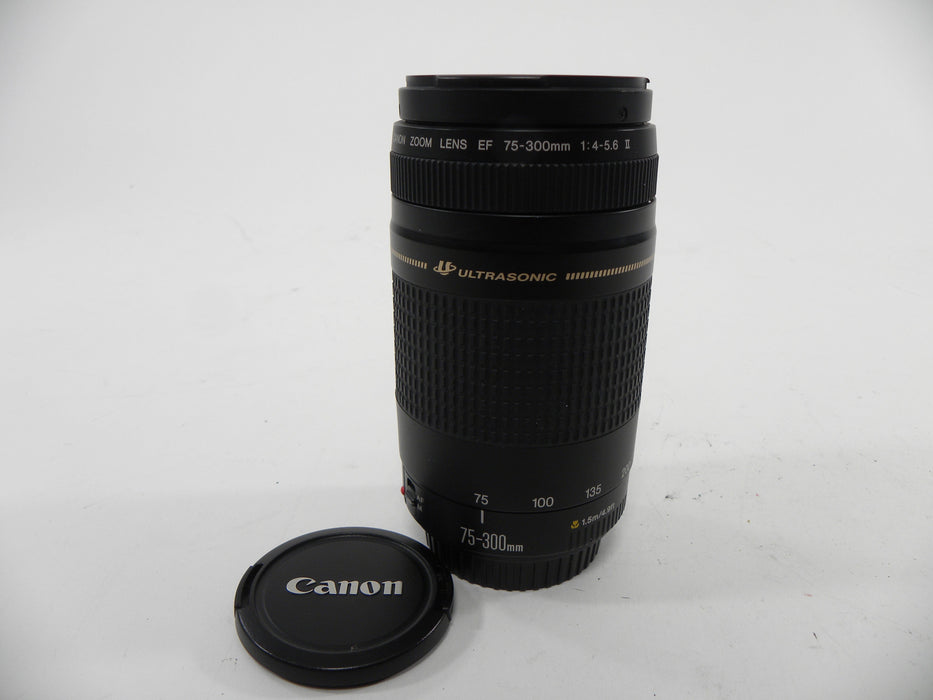 Canon EF 75-300mm f4-5.6 USM