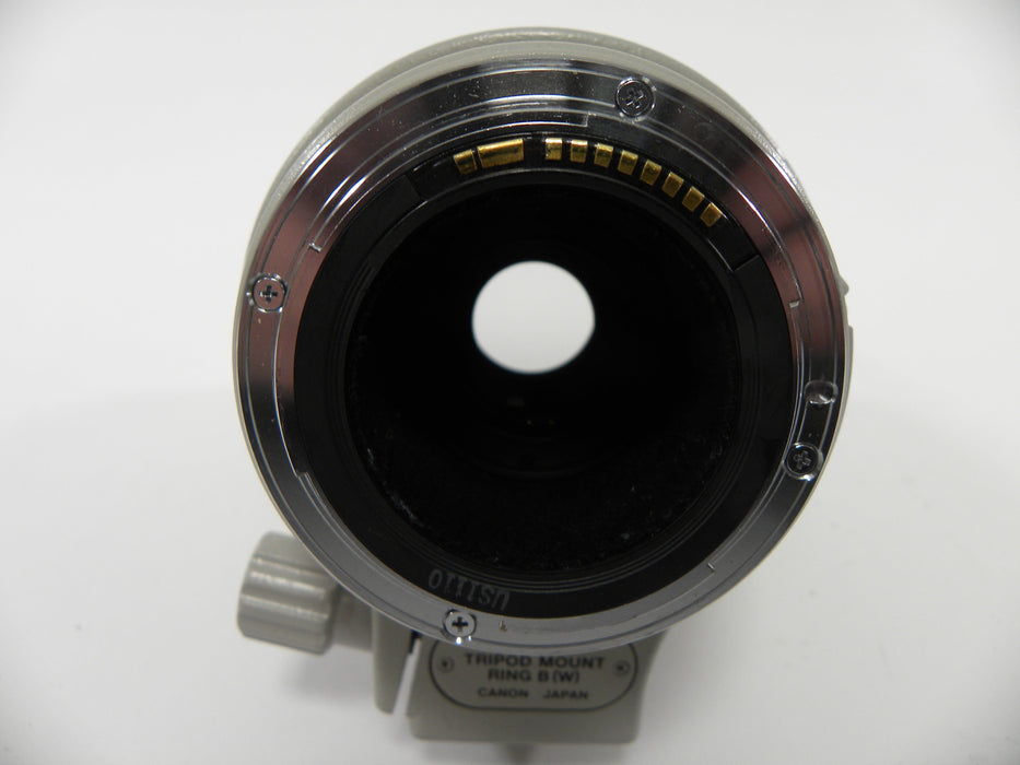 Canon EF Zoom 100-400mm f4.5-5.6 L IS USM