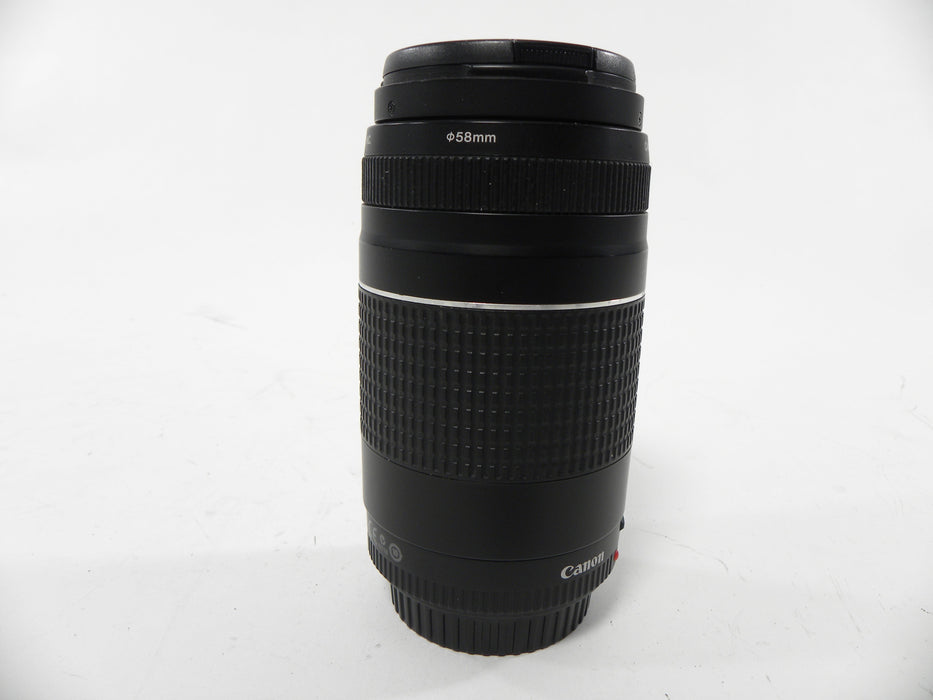 Canon EF Zoom 75-300mm f4-5.6 III