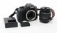 Canon Rebel T7i SC 91,554 w 18-55mm f/3.5-5.6 II