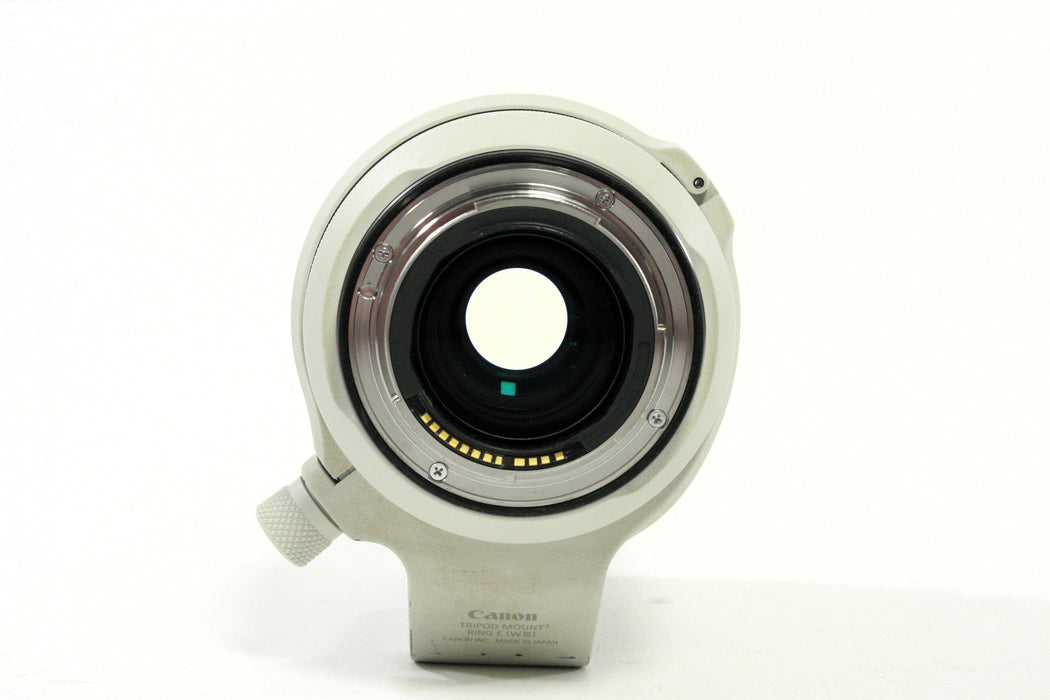 Canon RF 70-200mm F/2.8 L Lens