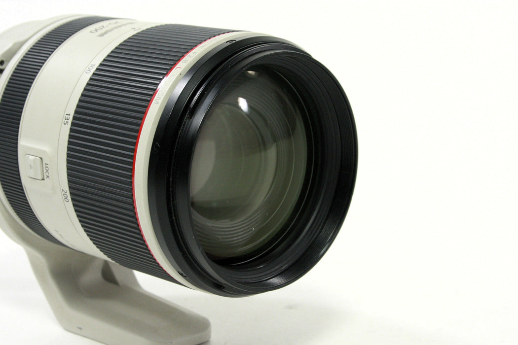 Canon RF 70-200mm F/2.8 L Lens