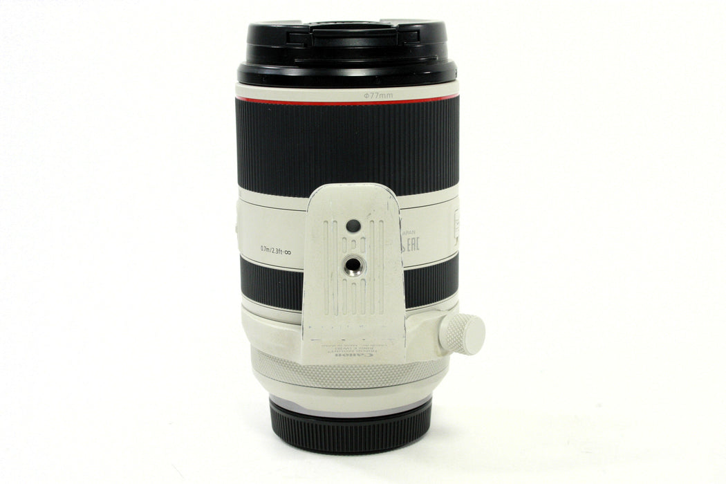 Canon RF 70-200mm F/2.8 L Lens