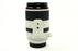 Canon RF 70-200mm F/2.8 L Lens