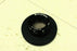 Celestron Nexstar 11 GPS XLT Optical Tube with 40mm Plossl Eye Piece