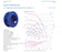 GR31C-ZID.DC.1R ZIEHL-ABEGG centrifugal fan 1~200-277V 1.35KW 6.5/5.0A 3000rpm
