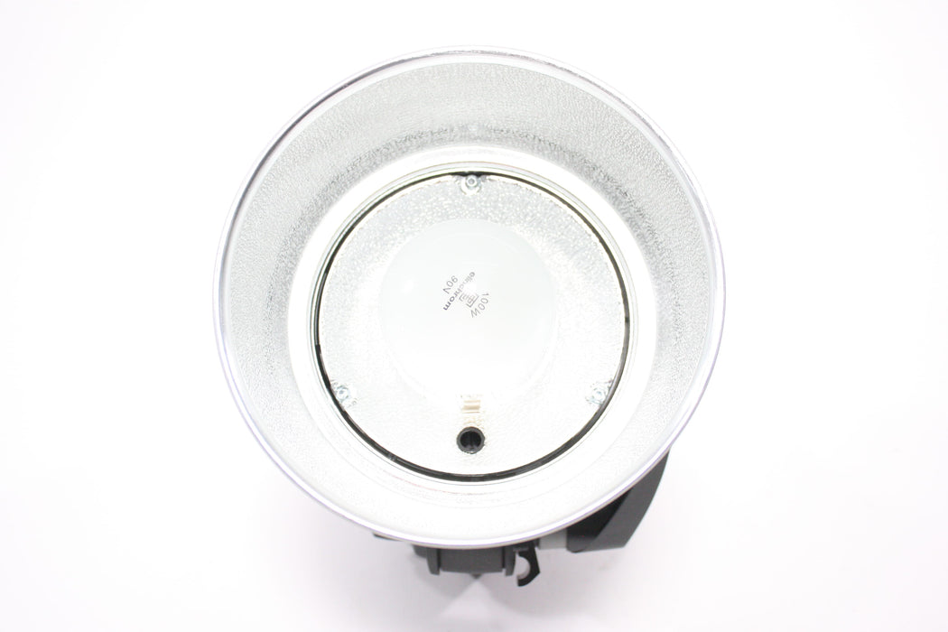 Elinchrom D-Lite RX 2 Two Light Kit
