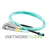HPE R1N86A Composable Fabric Series 12 Fiber MPO to 4xLC Multi-mode 3m Cable