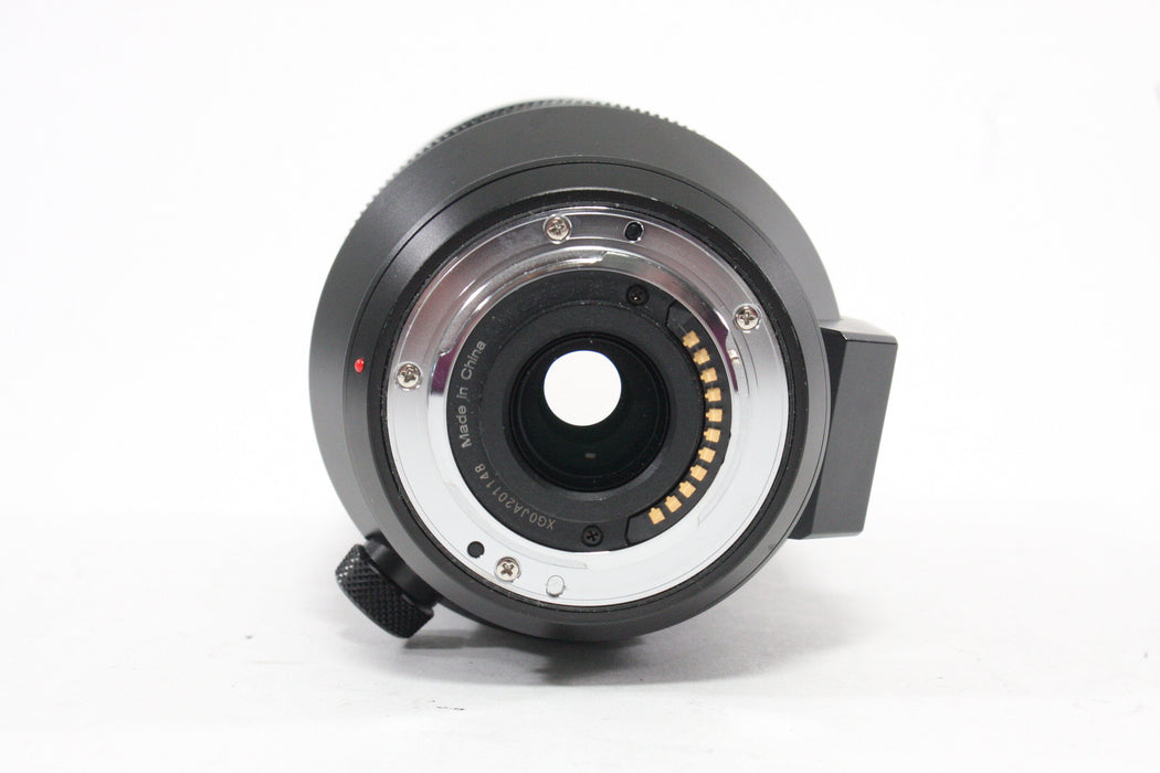 Panasonic Lumix 100-400mm f/4-6.3 DB Vario-Elmar Lens for Micro 4/3 Mount