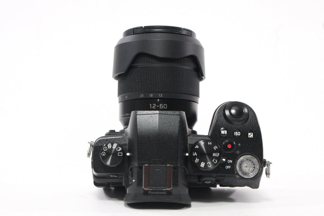 Panasonic Lumix DC-G95 Mirrorless Digital Camera with 12-60mm f/3.5-5.6 Lens
