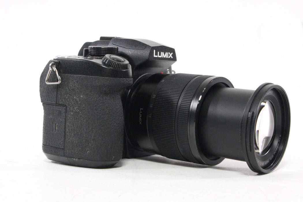 Panasonic Lumix DC-G95 Mirrorless Digital Camera with 12-60mm f/3.5-5.6 Lens