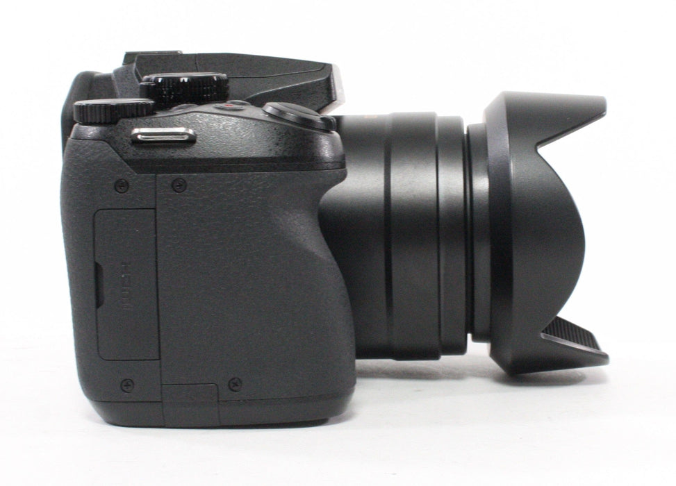 Panasonic Lumix DMC-FZ300 Digital Camera