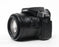Panasonic Lumix DMC-FZ300 Digital Camera with 26-600mm f/2.8-4.5 Lens