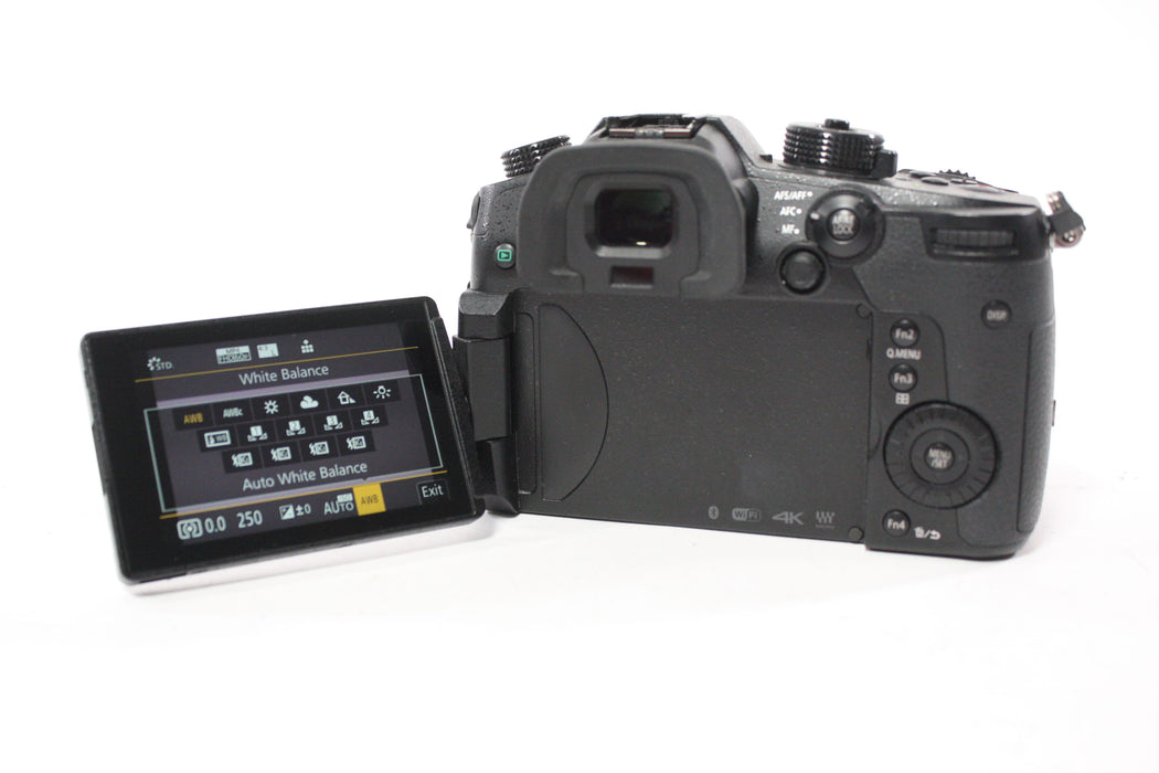 Panasonic Lumix GH5 Digital Mirrorless Camera Body with Shutter Count 9,100