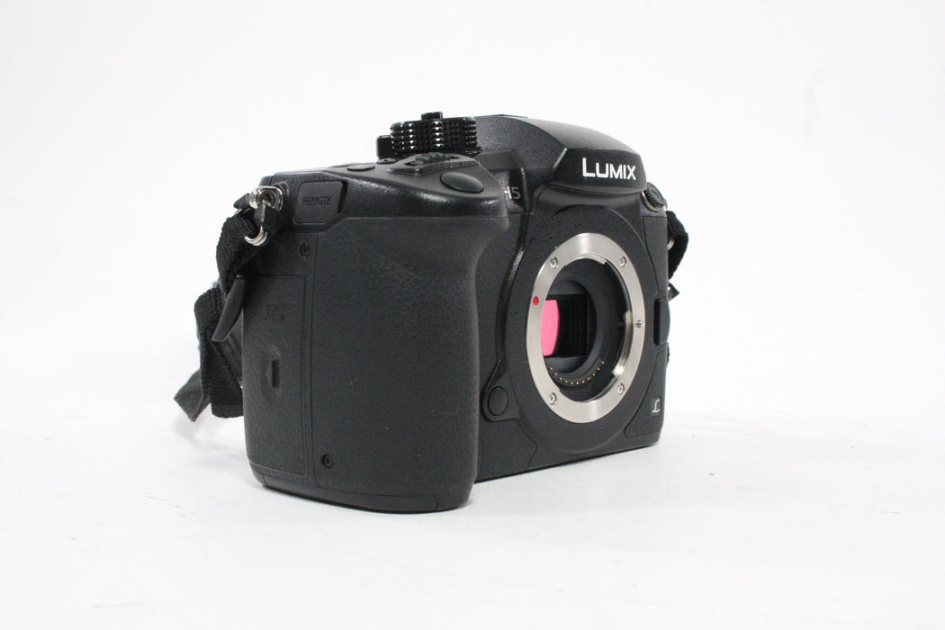 Panasonic Lumix GH5 Mirrorless Digital Camera