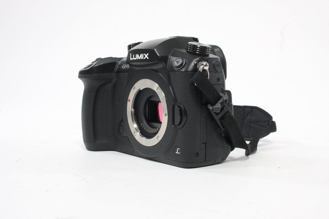 Panasonic Lumix GH5 Mirrorless Digital Camera
