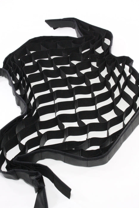 Paul C Buff Grid for FSB3240