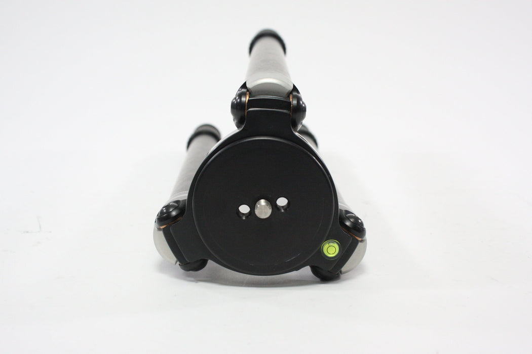 Really Right Stuff BH-55 Rev L Head with TVC-3x Carbon Legs