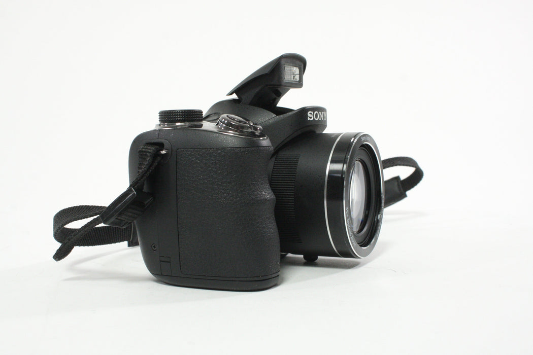 Sony Cyber-shot DSC-H300 Digital Camera