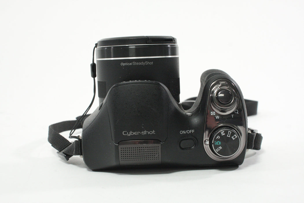 Sony Cyber-shot DSC-H300 Digital Camera