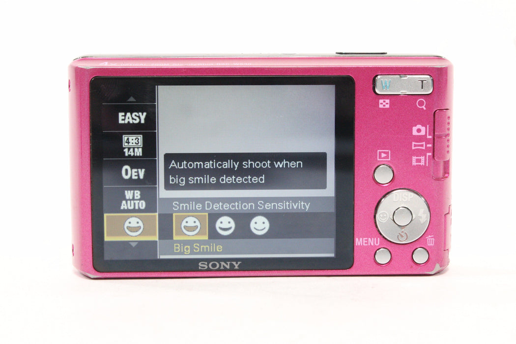 Sony Cyber-shot W530 Digital Point-and-Shoot 4x Zoom 14.1mp