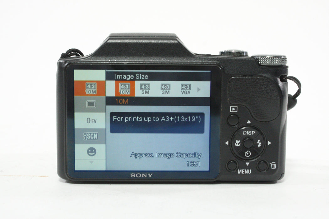 Sony DSC-H20 Digital Point-and-Shoot Camera 10x Zoom 10.1mp