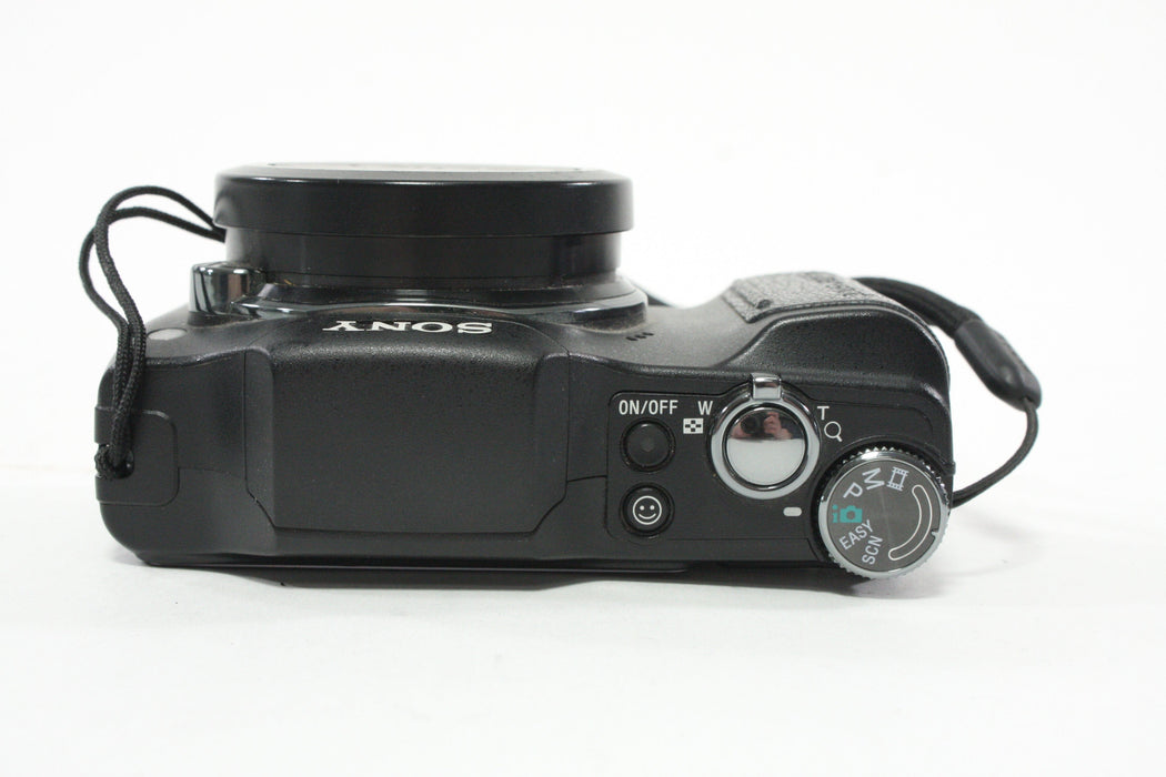 Sony DSC-H20 Digital Point-and-Shoot Camera 10x Zoom 10.1mp