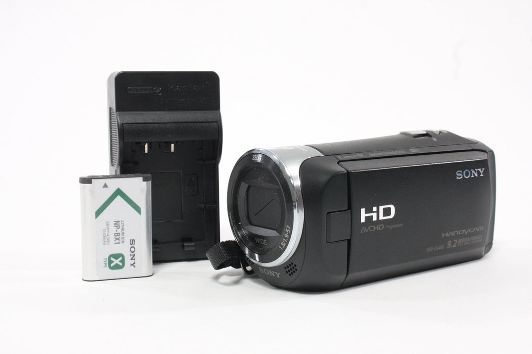 Sony Handycam HDR-CX440 Camcorder
